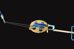 Dual trigger release